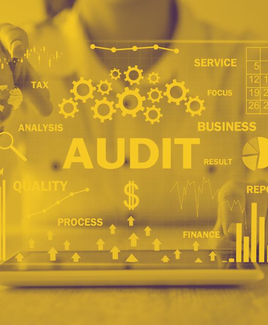 Audit